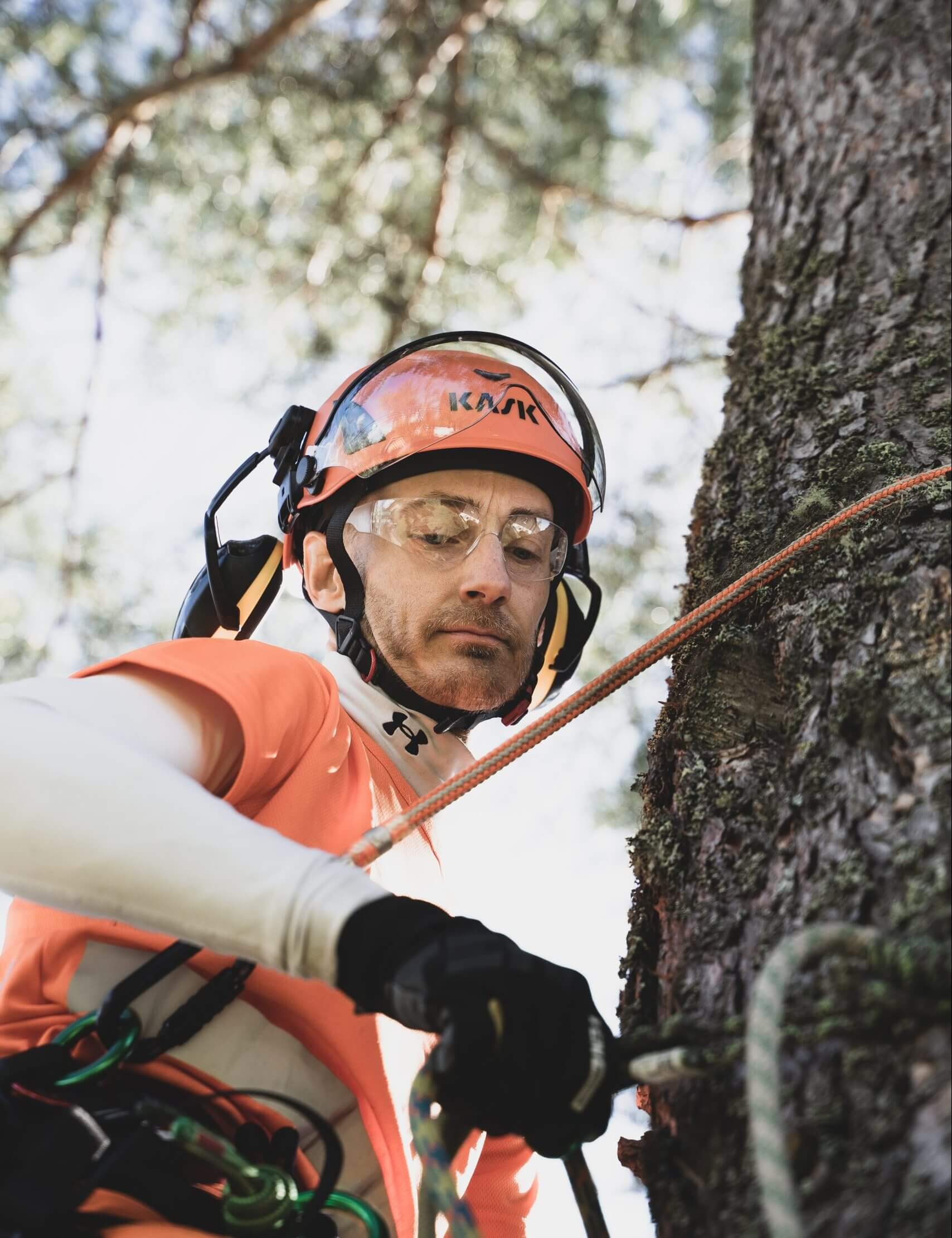 Arborists